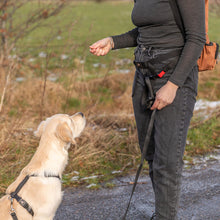 Load image into Gallery viewer, A light-colored dog wearing a harness looks up at a person standing outdoors on a path, who is holding the dog leash. The person is wearing a dark gray long-sleeve top, dark gray jeans, and a black waist bag with a brown shoulder strap.
