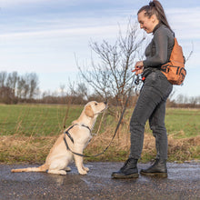 Load image into Gallery viewer, A woman standing outdoors on a paved path next to a grassy field, wearing a dark gray long-sleeve top, dark gray jeans, black boots, and an orange-brown backpack, while holding a leash attached to a light cream Labrador retriever sitting beside her.
