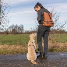 Load image into Gallery viewer, A woman stands outdoors on a path with a golden retriever dog, wearing a brown crossbody backpack. The dog wears a black harness, and the background shows a grassy field and trees under a blue sky.
