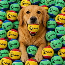 Load image into Gallery viewer, Dog surrounded by colorful 'DryDogs' tennis balls
