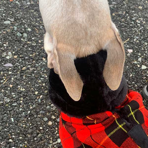 Fleece faux fur lumberjack sighthound coat