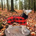 Lumberjack - Sighthound Fleece Coat with Faux Fur Lining