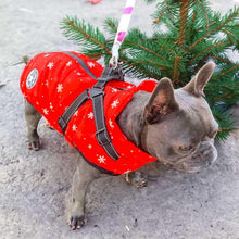 Load image into Gallery viewer, Frenchy Christmas coat
