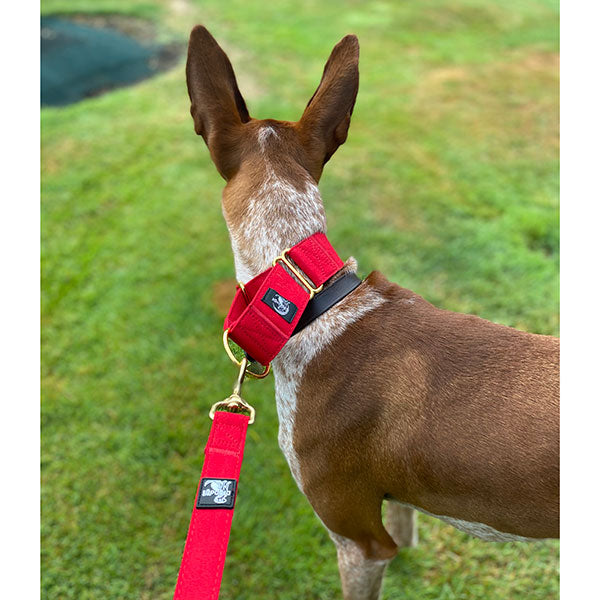 Soft Fabric Leads - Brass Fittings - Match Martingale Collars