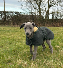 Load image into Gallery viewer, Wax Sighthound Coat Green
