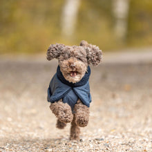 Load image into Gallery viewer, Sherpa Minot - Quilted Dog Coat with Harness Hole
