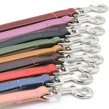 Load image into Gallery viewer, Leather Leads to Match Fishtail Sighthound Collars
