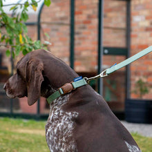 Load image into Gallery viewer, Magnetic Lock Quick-Fit Collars / Leads
