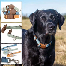 Load image into Gallery viewer, magnetic lock quick fit dog collars and leads
