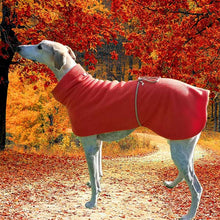 Load image into Gallery viewer, Autumnal &#39;Marmalade&#39; Sighthound Fleece Coat
