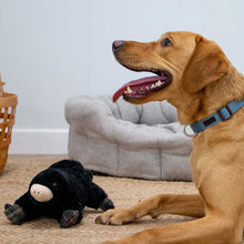 Load image into Gallery viewer, Plush Animal Toys with Squeak
