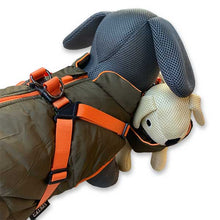 Load image into Gallery viewer, Olive &amp; Orange Quilted Dog Coat with Built-in Harness
