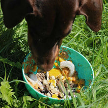 Load image into Gallery viewer, Orva Enrichment Wobble Bowl
