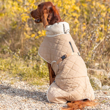 Load image into Gallery viewer, Sherpa Minot - Quilted Dog Coat with Harness Hole
