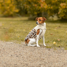 Load image into Gallery viewer, Ajou - Leopard Print Faux Fur Dog Coat for Small Dogs | Warm Winter Coat
