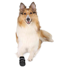 Load image into Gallery viewer, A fluffy collie dog lying on a white background with a small black dog boot on the front paw. The boot has a gray band and the brand name 'WALKER' printed in white.

