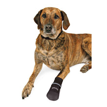 Load image into Gallery viewer, Dog wearing a black boot on a white background
