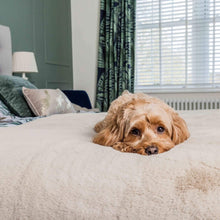 Load image into Gallery viewer, Faux Fur Pet Throw 
