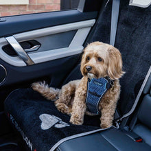 Load image into Gallery viewer, Dog wearing a blue harness sitting in a car with a black seat cover.
