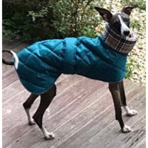 Teal whippet coat with warm polar fleece lining in cream check pattern