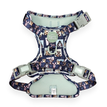 Load image into Gallery viewer, Disney - Winnie the Pooh &amp; Friends Harnesses / Collars / Leads
