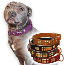 Load image into Gallery viewer, purple leather Staffordshire bull terrier collar

