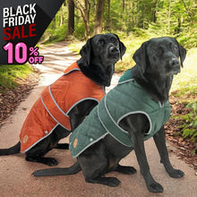 Load image into Gallery viewer, quilted dog coat with harness hole
