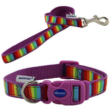 Load image into Gallery viewer, rainbow dog collars and leads sets
