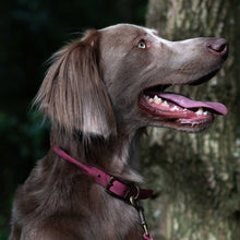 Load image into Gallery viewer, Pink Leather Dog Roll Collar
