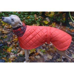 red quilted waterproof windproof whippet coat. Ideal for the cold weather of winter months