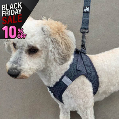 Reflective dog harnesses made from neoprene