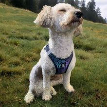 Load image into Gallery viewer, Reflective dog harnesses made from neoprene
