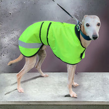 Load image into Gallery viewer, Best whippet coats uk
