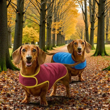 Load image into Gallery viewer, Two dachshunds in colorful coats standing on a leaf-covered path with autumn trees in the background.
