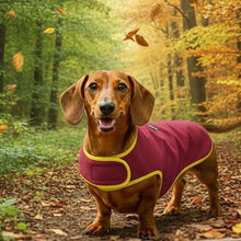 Load image into Gallery viewer, Dog wearing a pink coat in an autumn forest
