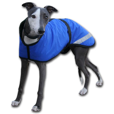 royal blue whippet rain mac made in the uk to order by Kellings Dog Coats 