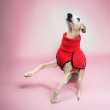 Load image into Gallery viewer, Runo - extra-thick greyhound/whippet base layer coat
