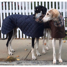 Load image into Gallery viewer, Saluki coats - brown and navy with cream check

