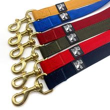 Load image into Gallery viewer, Soft fabric dog lead to match martingale collars

