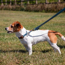 Load image into Gallery viewer, Magnetic Lock Quick-Fit Collars / Leads
