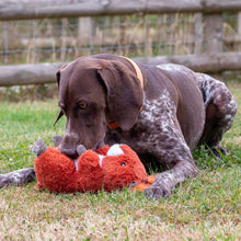 Load image into Gallery viewer, Plush Animal Toys with Squeak
