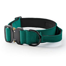 Load image into Gallery viewer, A green nylon dog collar with a black quick-release buckle, black metal D-ring, and black padded interior, shown on a white background.
