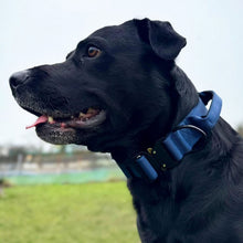 Load image into Gallery viewer, A close-up side profile of a black dog wearing a blue collar in an outdoor setting with a blurred green field and pale sky in the background.
