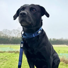Load image into Gallery viewer, A black dog wearing a blue collar and matching blue leash strap, photographed outdoors in a grassy field under an overcast sky.
