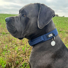 Load image into Gallery viewer, A dark gray dog in profile wearing a navy blue collar with a silver round tag, set against a grassy field under an overcast sky.
