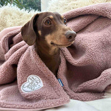 Load image into Gallery viewer, Teddy Bear Sherpa Fleece Dog Blanket Bedding
