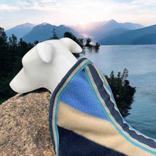 Load image into Gallery viewer, collar rolled forwards
