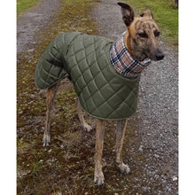 Load image into Gallery viewer, greyhound in olive padded jacket with high fleece collar snood
