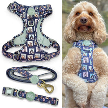 Load image into Gallery viewer, Disney - Winnie the Pooh &amp; Friends Harnesses / Collars / Leads