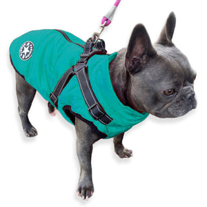 Dog coat with built in harness aqua blue